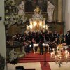 Koncert Chorus Carolinus